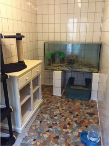 pension animalière Poissy 78