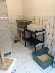 pension animalière Poissy 78