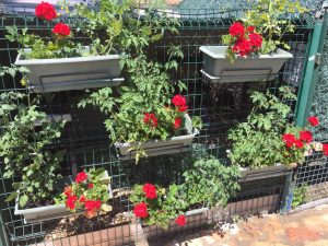 photos & vidéos pension animalière poissy