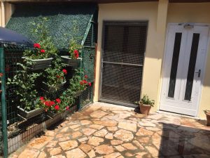 photos & vidéos pension animalière poissy