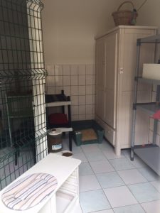 photos & vidéos pension animalière poissy