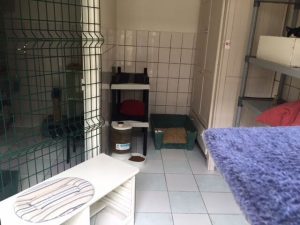 photos & vidéos pension animalière poissy