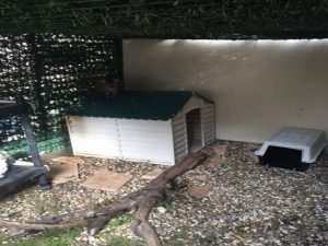 photos & vidéos pension animalière poissy