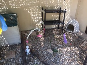 photos & vidéos pension animalière poissy